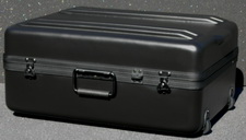 DX-2317-10FW Deluxe Wheeled Case