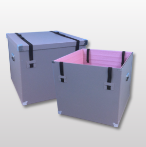 Buckles and Straps Cases with Anti Static Foam-  Example B